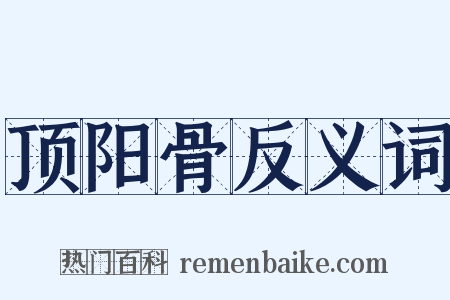 顶阳骨反义词是什么意思的图片